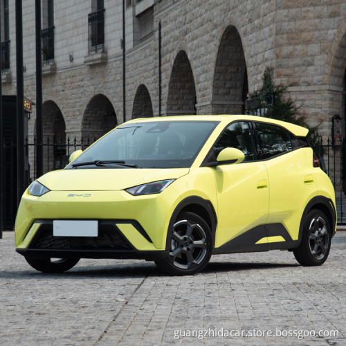 2023 New car Cheapest SUV Pure Electric Vehicle Ev car BYD Seagull for sale